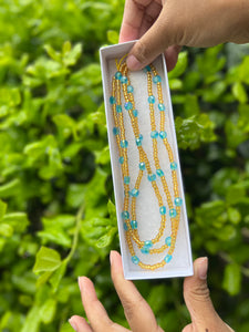 San Diego Macaw 💙💛 Waist Beads